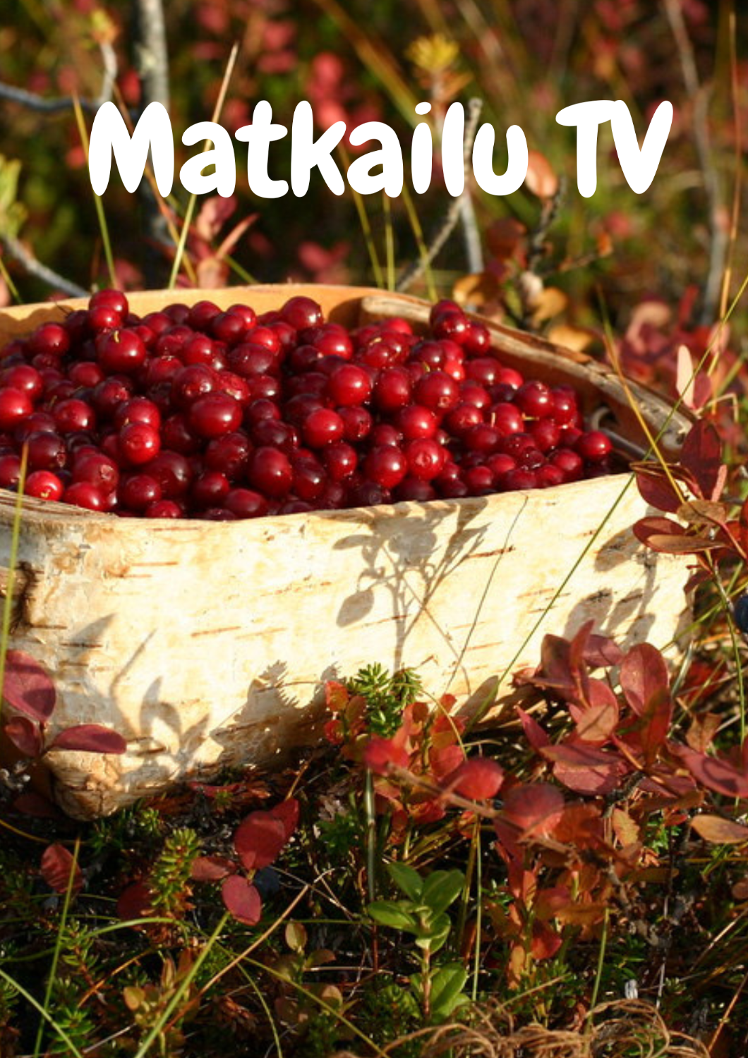 Marja- ja sieniretki -Inari