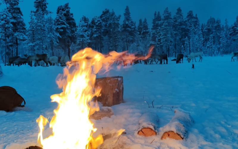 KURKISTUS POROMIEHEN PÄIVÄÄN
