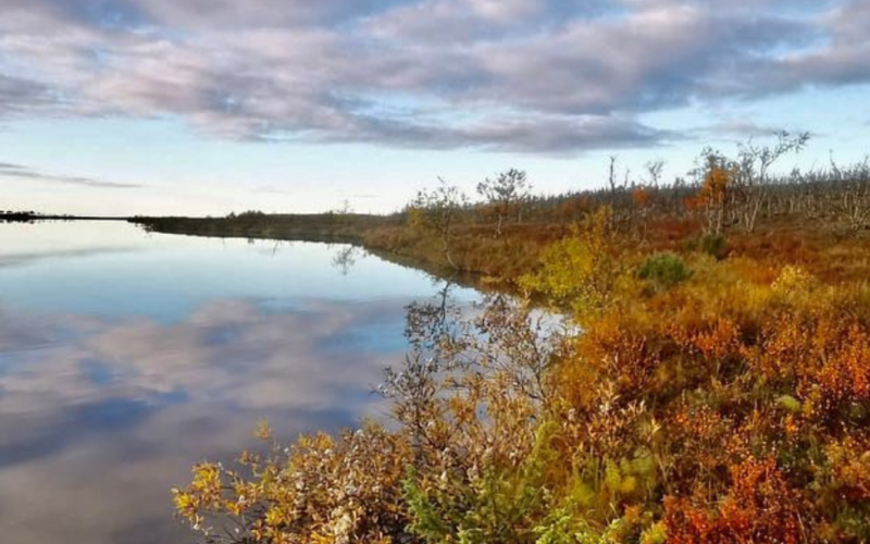 KEVÄT-KESÄ-SYKSY 2026